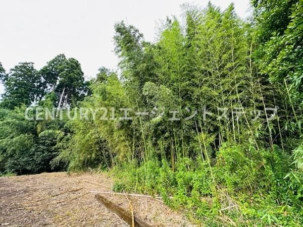 Large 3,649m2 Land for Sale in Miyazaki City - Thumbnail 4