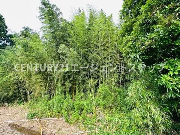 Large 3,649m2 Land for Sale in Miyazaki City - Thumbnail 3