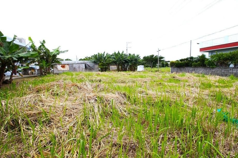 Land for Sale in Nago, Okinawa - 369 sqm Corner Plot - Thumbnail 4