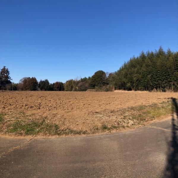 Land for Sale in Wakamori, Tsukuba City, 1169 sqm - Thumbnail 4