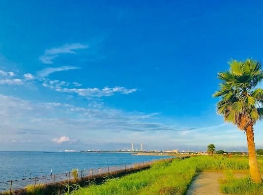 440 sqm Residential Land Plot for Sale in Katsuura, Chiba - Thumbnail 3