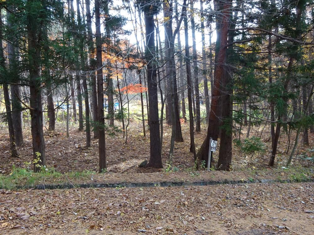 192 sqm Freehold Land for Sale in Inawashiro, Fukushima - Thumbnail 2