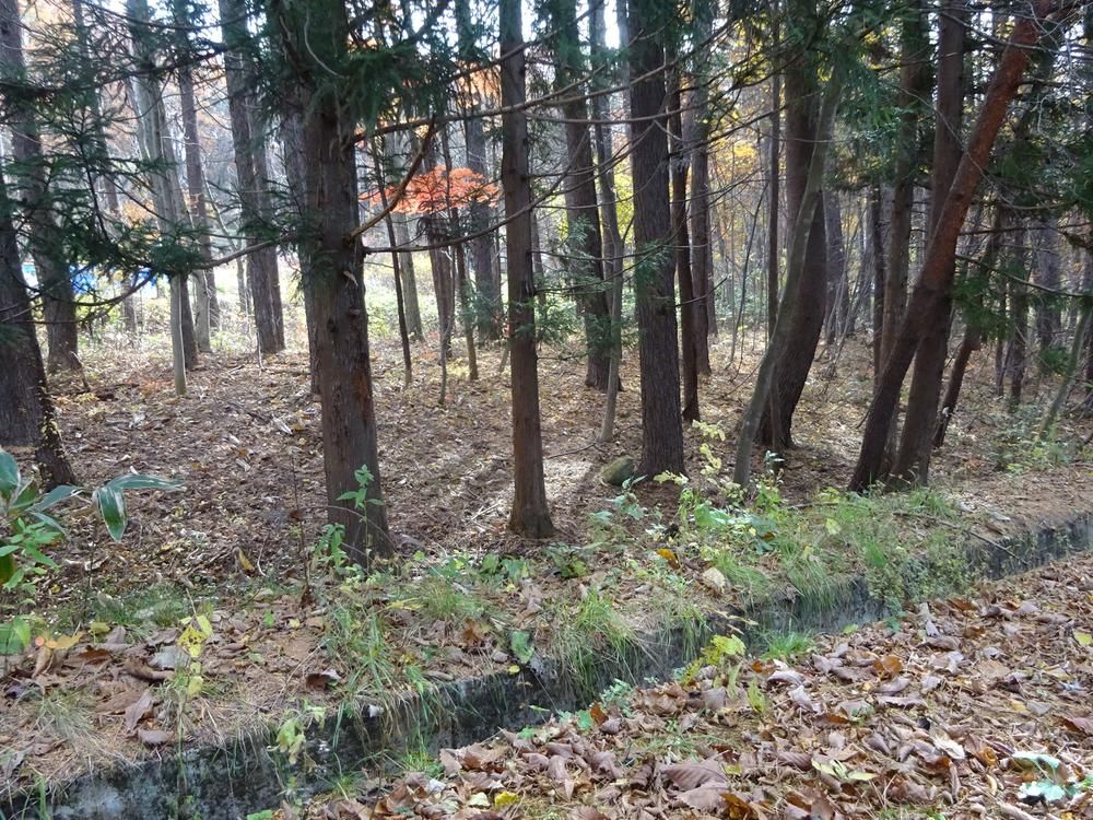 192 sqm Freehold Land for Sale in Inawashiro, Fukushima - Thumbnail 3