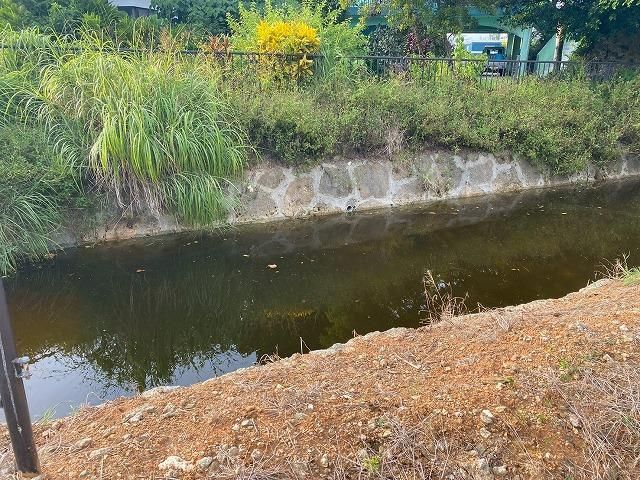 Land for Sale in Onna Village Okinawa 1037sqm - Thumbnail 2