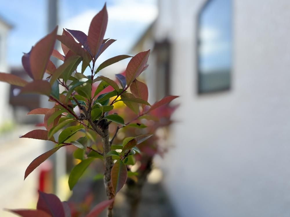 Renovated 4SLDK House in Higashimurayama, Tokyo - 39.99M Yen - Thumbnail 4