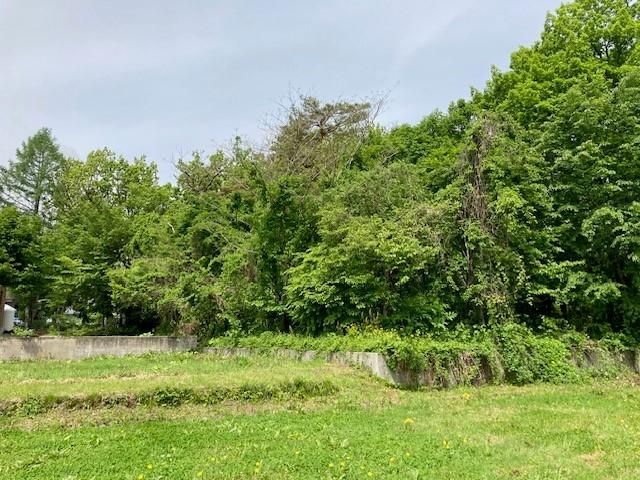 953 sqm Land for Sale in Hakuba, Nagano - Near Hakuba Station - Thumbnail 4