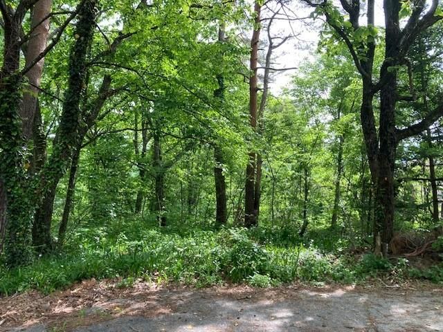 953 sqm Land for Sale in Hakuba, Nagano - Near Hakuba Station - Thumbnail 3