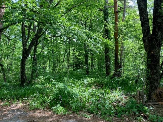 953 sqm Land for Sale in Hakuba, Nagano - Near Hakuba Station - Thumbnail 2