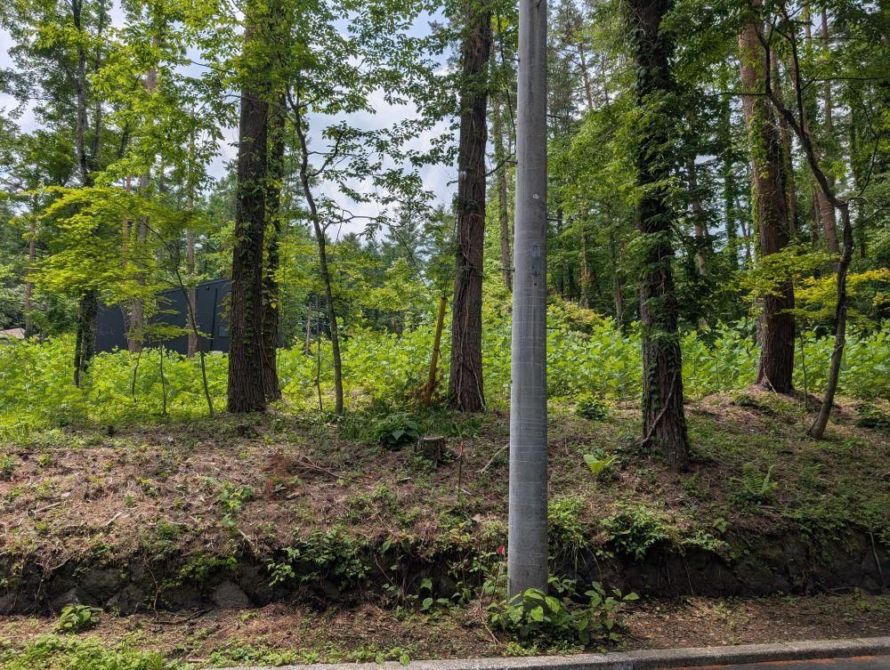 650 sqm Vacant Land for Sale in Narusawa, Yamanashi - Thumbnail 2