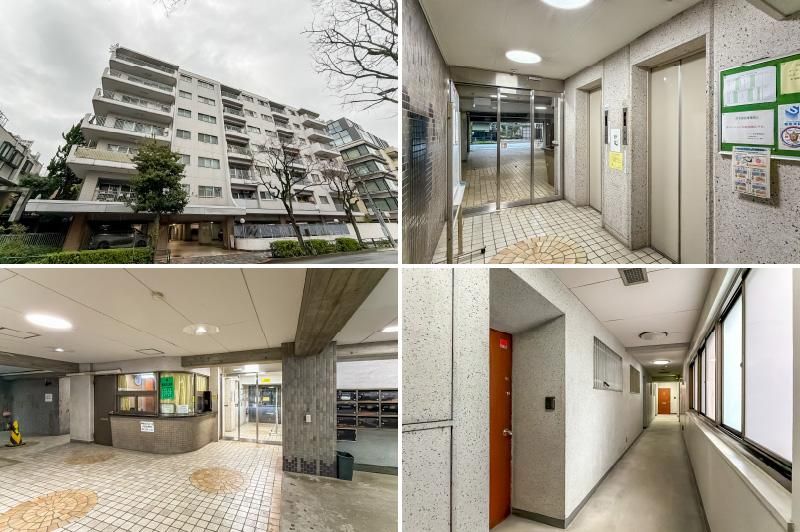 Renovated 3LDK Apartment in Minami Aoyama, Tokyo - Thumbnail 2