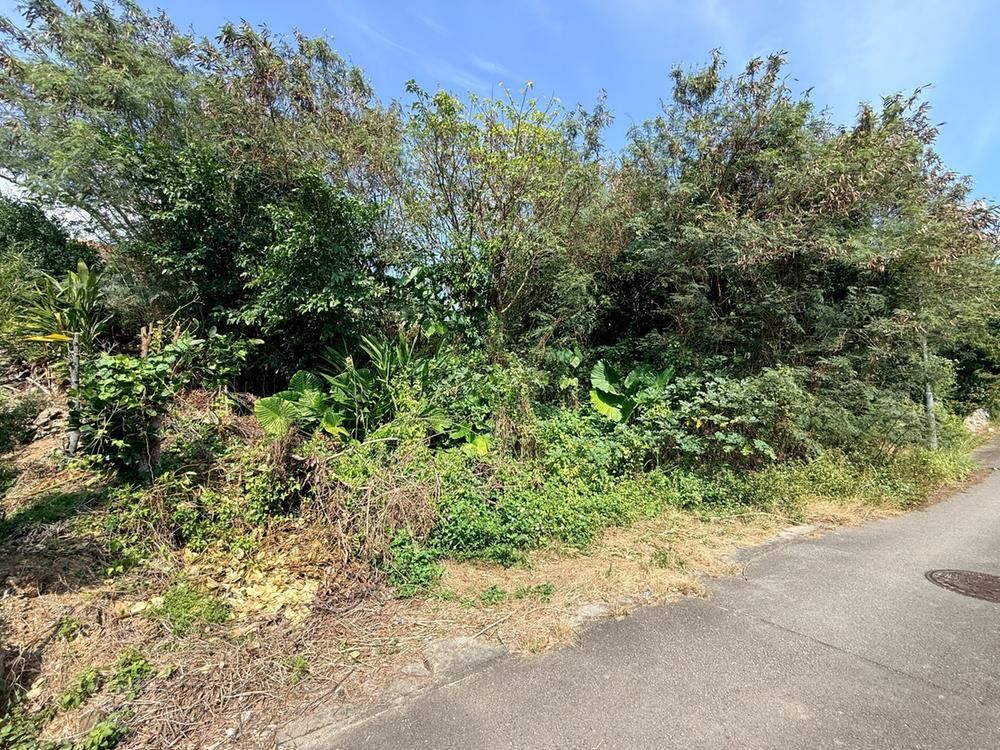 447 sqm Ocean View Land for Sale in Ginoza Village, Okinawa - Thumbnail 3