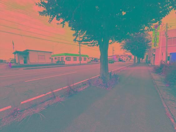 Land for Sale in Joetsu, Niigata - 138.98 sqm - Thumbnail 4