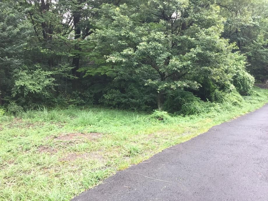 595sqm Building Plot for Sale in Ito City, Shizuoka - Thumbnail 4