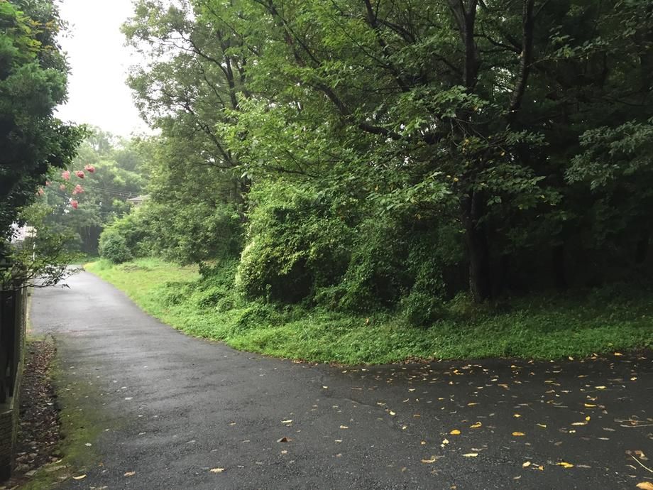 595sqm Building Plot for Sale in Ito City, Shizuoka - Thumbnail 2