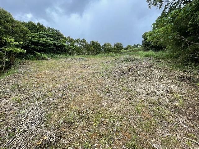 Land for Sale in Nakijin Village, Okinawa - 1,308 sqm - Thumbnail 4