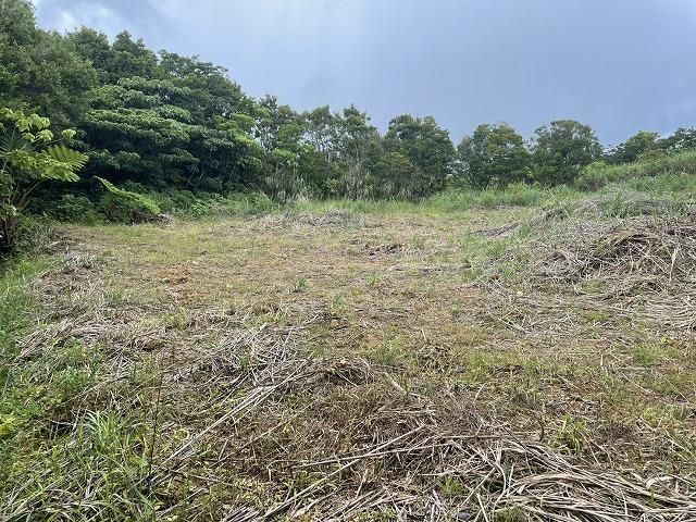 Land for Sale in Nakijin Village, Okinawa - 1,308 sqm - Thumbnail 2