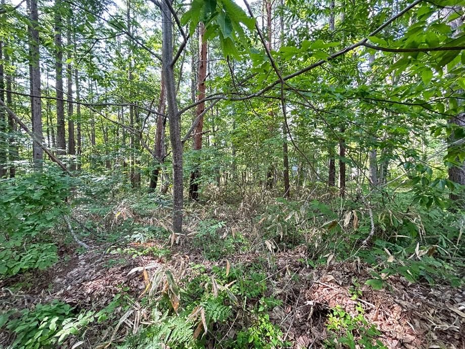 187 sqm Vacant Land for Sale in Inawashiro, Fukushima - Thumbnail 4