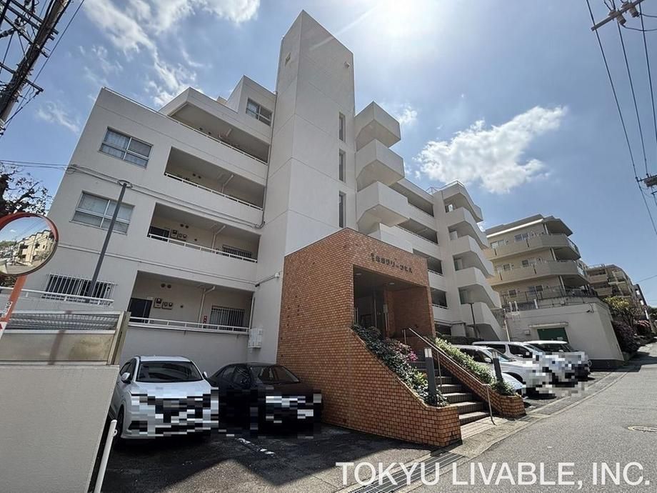 2DK Condominium in Kawasaki, Kanagawa – 41.22m² Top Floor Unit - Thumbnail 3