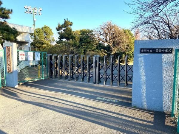 Land for Sale in Ichikawa, Chiba - 121.97 sqm Plot - Thumbnail 3