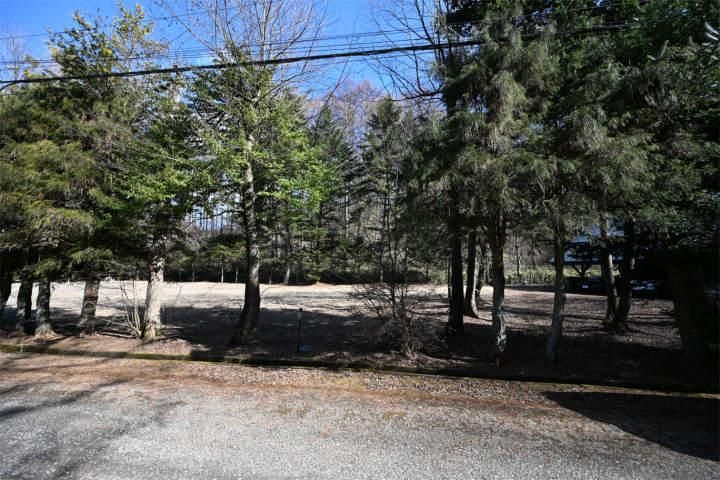 1000 sqm Land for Sale in Karuizawa, Nagano - Prime Residential Plot - Thumbnail 3