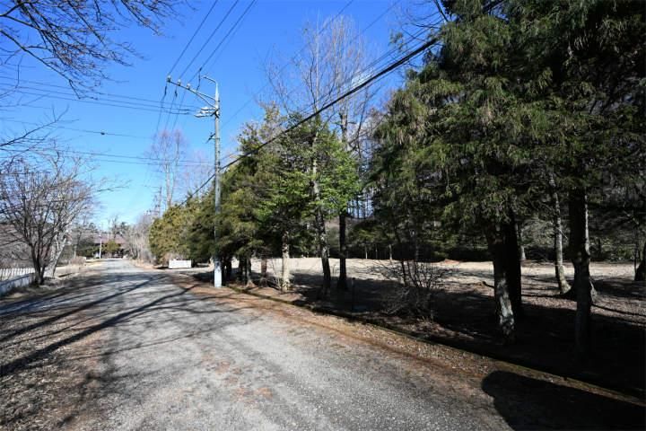 1000 sqm Land for Sale in Karuizawa, Nagano - Prime Residential Plot - Thumbnail 2