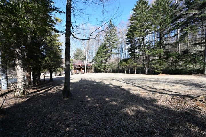 1000 sqm Land for Sale in Karuizawa, Nagano - Prime Residential Plot - Thumbnail 4