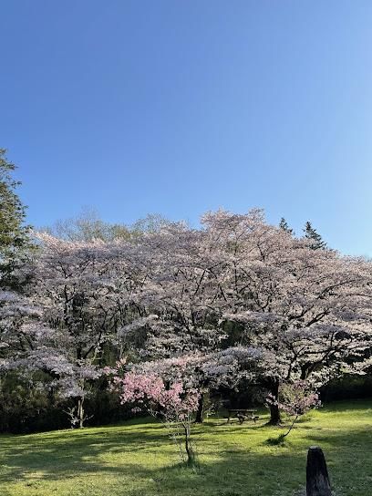 Land for Sale in Tama City, Tokyo - 221.88 sqm - Thumbnail 4