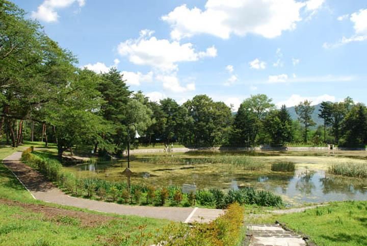 710 sqm Residential Land for Sale in Miyota, Nagano - Thumbnail 3