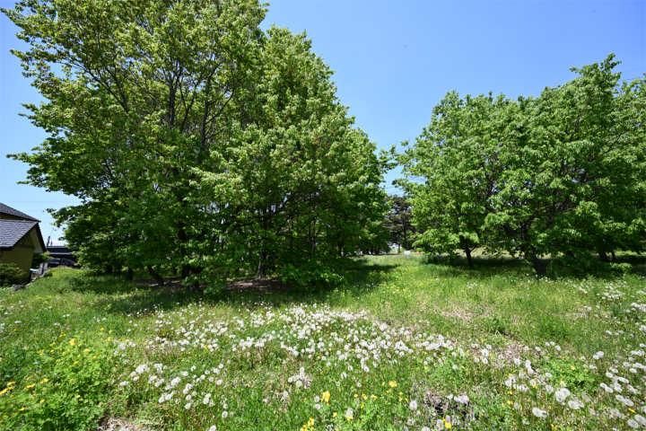 710 sqm Residential Land for Sale in Miyota, Nagano - Thumbnail 4