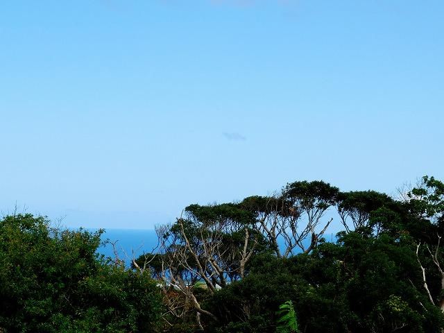 Ocean View Land for Sale in Nakijin Village, Okinawa - 790 sqm - Thumbnail 4