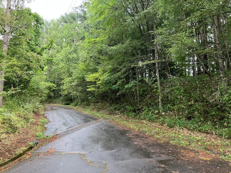 1,348 Tsubo Land for Sale in Nagano's Yatsugatake Resort Area - Thumbnail 3