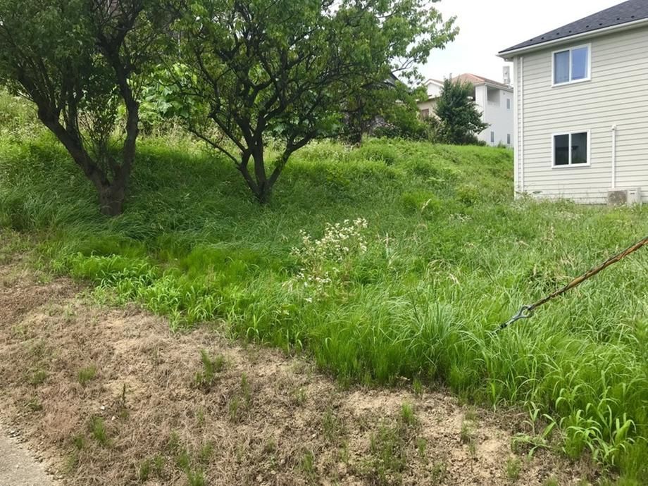 284m2 Land for Sale in Koriyama, Fukushima - Thumbnail 2