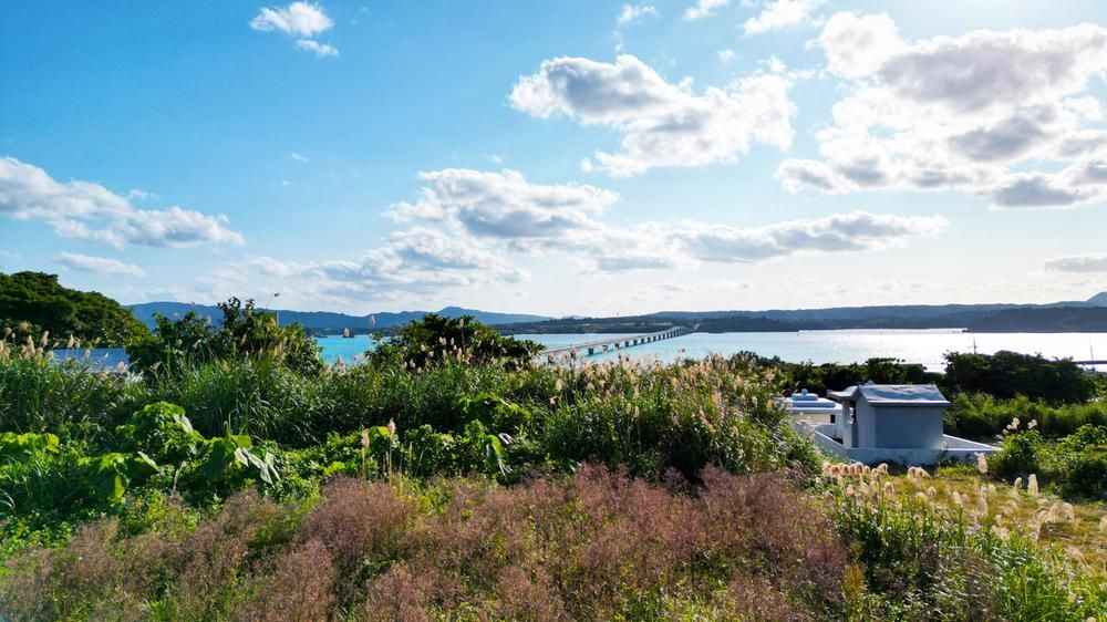 Land for Sale in Kouri Island, Nakijin, Okinawa - 542 sqm Ocean View Plot - Thumbnail 4
