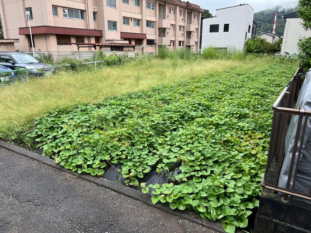 337 sqm Building Plot in Shimizu-cho, Shizuoka - Thumbnail 4