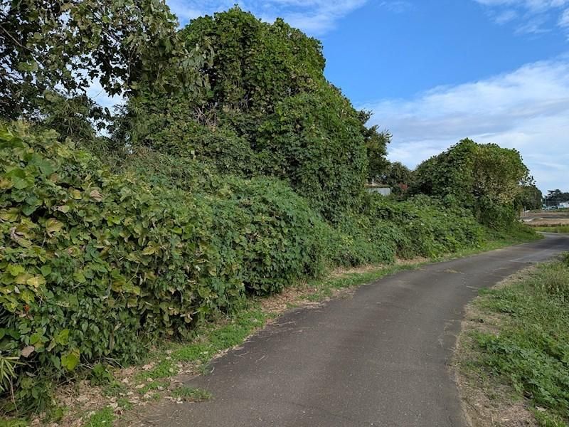 1738 sqm Land for Sale in Yanagibashi, Tsukuba City, Ibaraki - Thumbnail 2