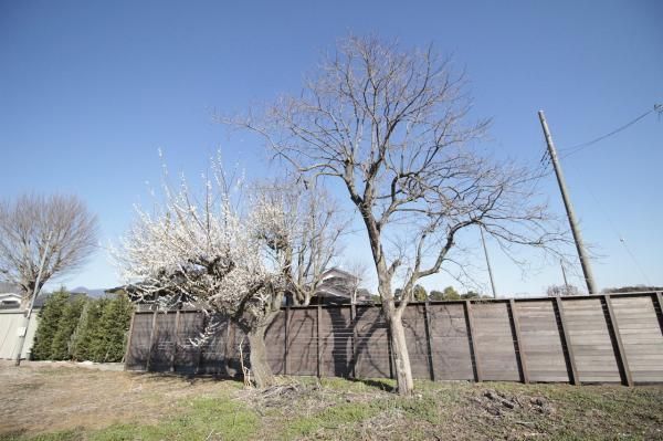 Land for Sale in Tsukuba City, Ibaraki - 906 sqm - Thumbnail 4