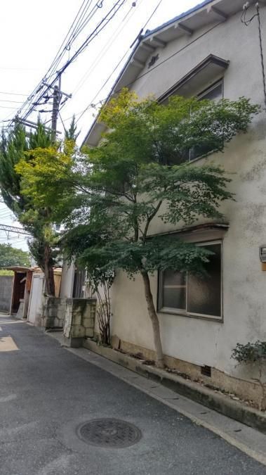3DK House for Sale in Fushimi, Kyoto - 77m2 Land - Thumbnail 2