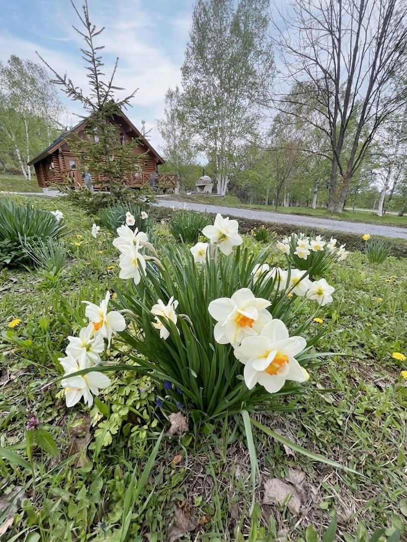Log Home on 7,657 sqm Lot in Fukagawa, Hokkaido – 20 Million Yen - Thumbnail 4