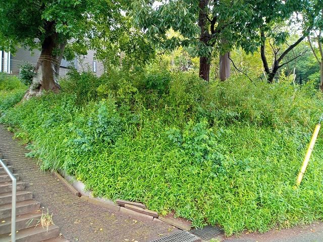 201m2 Land for Sale in Yachiyo, Chiba - No Building Conditions - Thumbnail 2