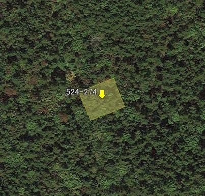 500 sqm Vacant Land for Sale in Shikabe-cho, Hokkaido - Thumbnail 2