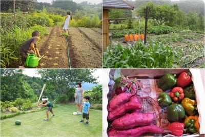 Mountain Cabin Dream in Nakagawa — Image 1, Nakagawa, Fukuoka