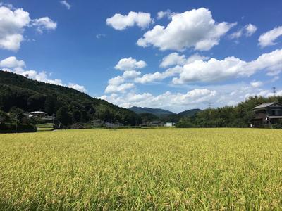 Farmhouse with Potential in Nakagawa — Image 3, Nakagawa, Fukuoka