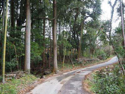 Natural Living in Nakagawa — Image 3, Nakagawa, Fukuoka