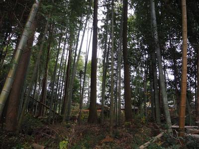 Natural Living in Nakagawa — Image 1, Nakagawa, Fukuoka