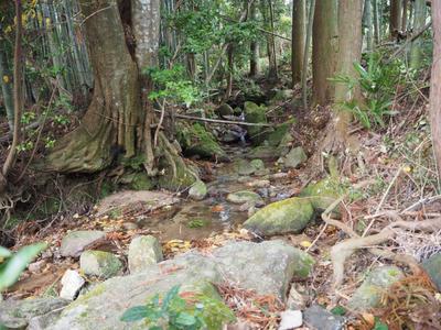 Natural Living in Nakagawa — Image 2, Nakagawa, Fukuoka