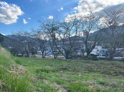 A place to wait for spring | SUMITSUKE Nakagawa — Image 2, Nakagawa, Fukuoka