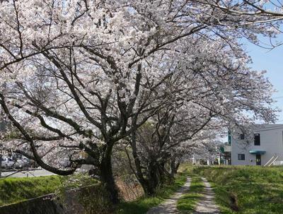 A place to wait for spring | SUMITSUKE Nakagawa — Image 3, Nakagawa, Fukuoka