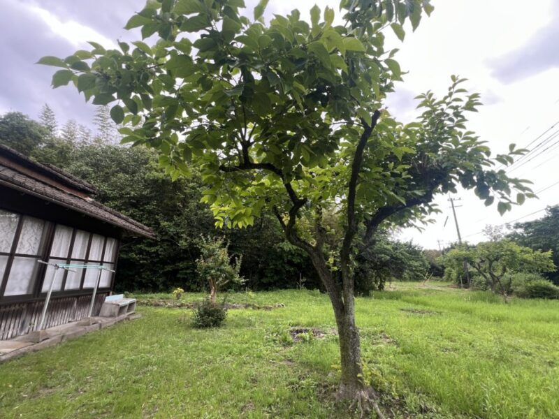 130-Year-Old Farmhouse for Sale in Isa City, Kagoshima - Thumbnail 3