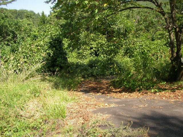Vacation Home Land for Sale in Saku, Nagano - 2,065 sqm - Thumbnail 3