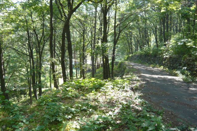 Vacation Home Land for Sale in Saku, Nagano - 2,065 sqm - Thumbnail 2
